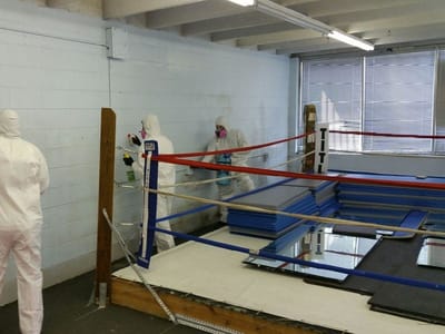 Purified Air Solutions