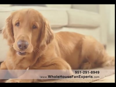 QC Guys - Whole House Fan Experts