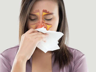 Quality Air Indoor Specialists, Inc.