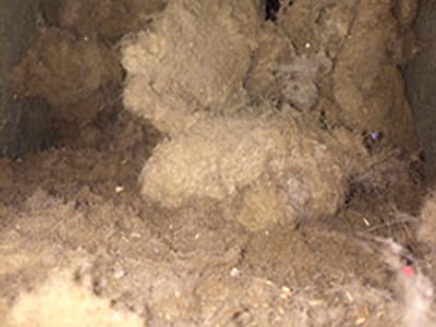 Quality Air Specialists