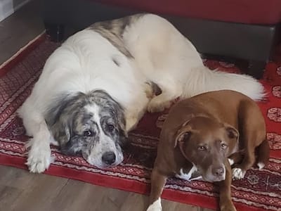 Quality Control Plumbing, Heating, & Air