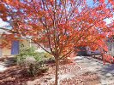 Quality Heating & Air Conditioning Services