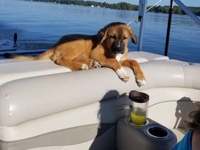 Quality Plus Heating & AC