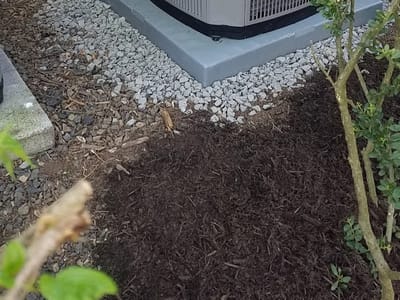 Queen B Plumbing, Heating And Cooling