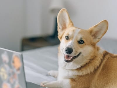 Quigley Heating & Air Conditioning