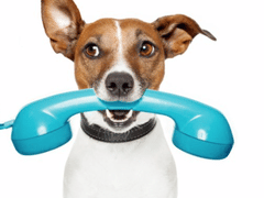 Quigley Heating & Air Conditioning