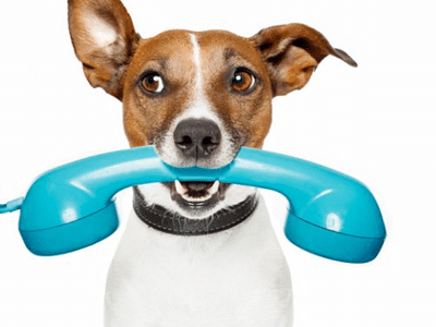 Quigley Heating & Air Conditioning