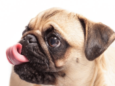 Quigley Heating & Air Conditioning