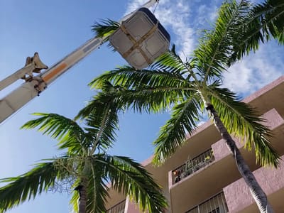 Rams Air Conditioning INC