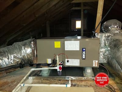 Red Vine Services LLC