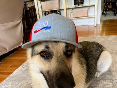 Reid Heating & Air, Inc