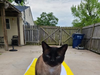 Reifel Heating and Cooling