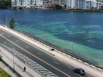 Renueva Solutions, Corp