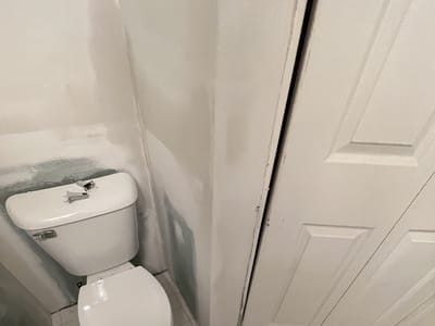 Reputable Services INC