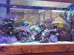 Richmond Brothers Mechanical