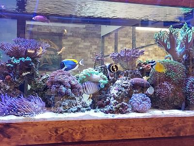 Richmond Brothers Mechanical