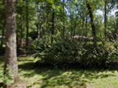 Rick Watson Heating & Air Conditioning