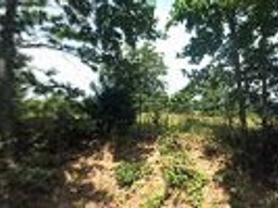 Right Temp A/C & Heating