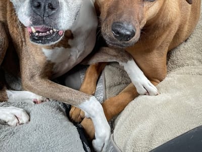 Rise Up Heating & Cooling