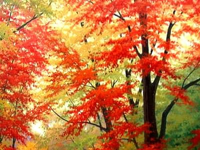 Rmsair Heating and Cooling