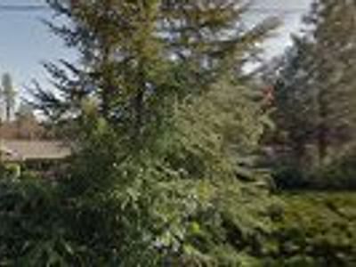 Rob's Heating & Cooling Services