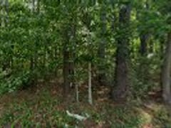 Ron's Plumbing Heating & Air