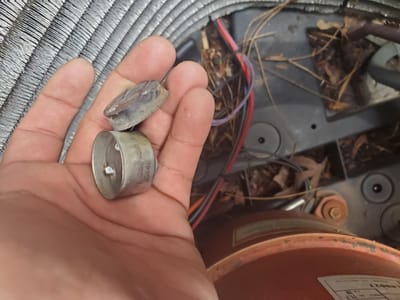 Royal Home Performance