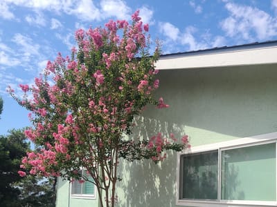 RPM Heating and Air Conditioning