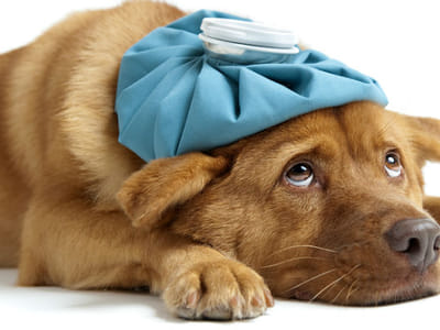 Santa Clarita Air Conditioning & Heating