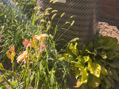 Schempp Heating & Air Conditioning Inc