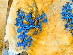 Scott Mechanical llc