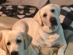 Seacoast Air Conditioning of Stuart FL