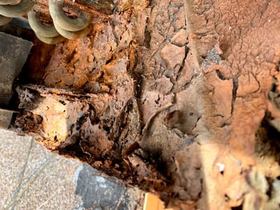 Servan Arizona Ducts