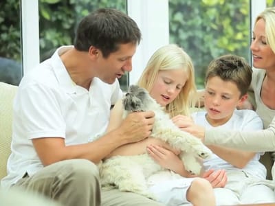 Service Emperor HVAC & Refrigeration