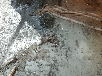 Service Experts Heating & Air Conditioning