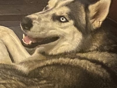 Service Ready Techs Heat and Air LLC