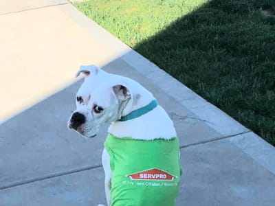 SERVPRO of Western O'Fallon/Wentzville