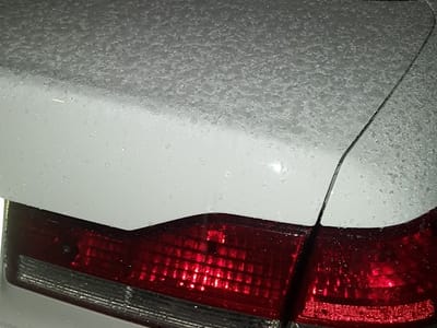 Signature Services LLC