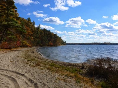 Silvia Heating & Air Conditioning, Inc.