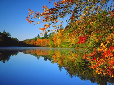 Simonsen Heating and Cooling