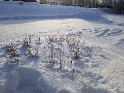 Smylie One Heating, Cooling & Plumbing