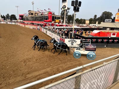 Soria Contracting and Solutions, Inc