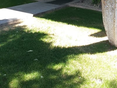 Source Refigeration & HVAC