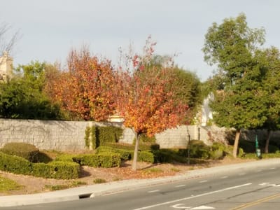 Southwest Heating & Air Conditioning