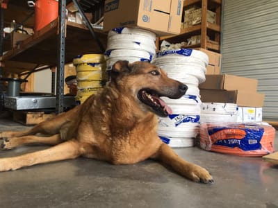 Speedy Electric & A/C