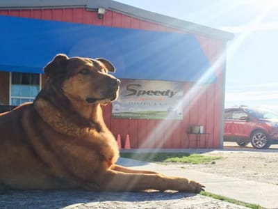 Speedy Electric & A/C