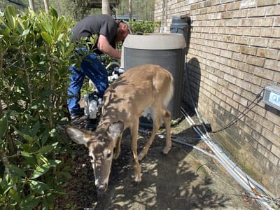 Staats A/C & Commercial Refrigeration Inc.