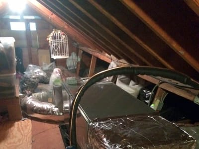 Standard Oil of Connecticut