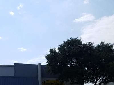 Standard Supply Garland Branch