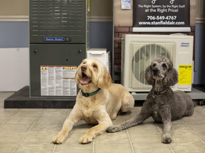 Stanfield Air Systems